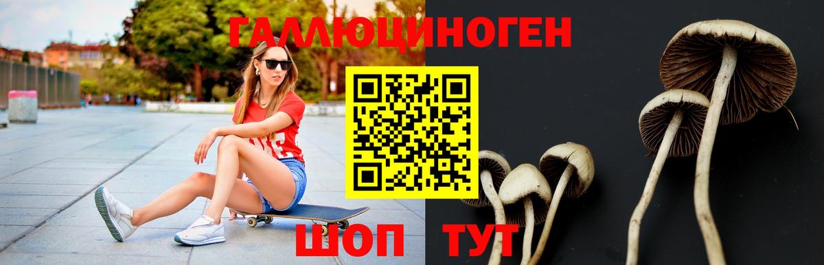 Псилоцибиновые грибы мухоморы  Псилоцибиновые грибы Psilocybe  Вход с VPN  Уссурийск 